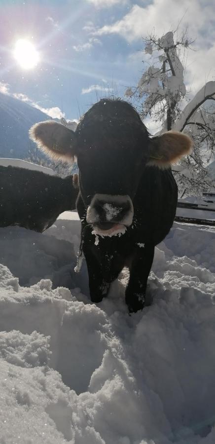 Bauernhof Gfraser Serfaus Dış mekan fotoğraf